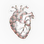 Corazon diagrama flores