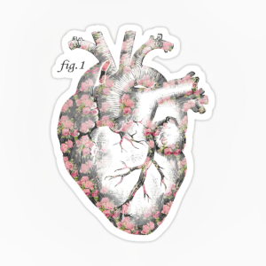 Corazon diagrama flores