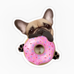 Bulldog frances dona