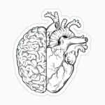 Cerebro y corazon
