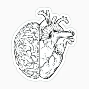 Cerebro y corazon