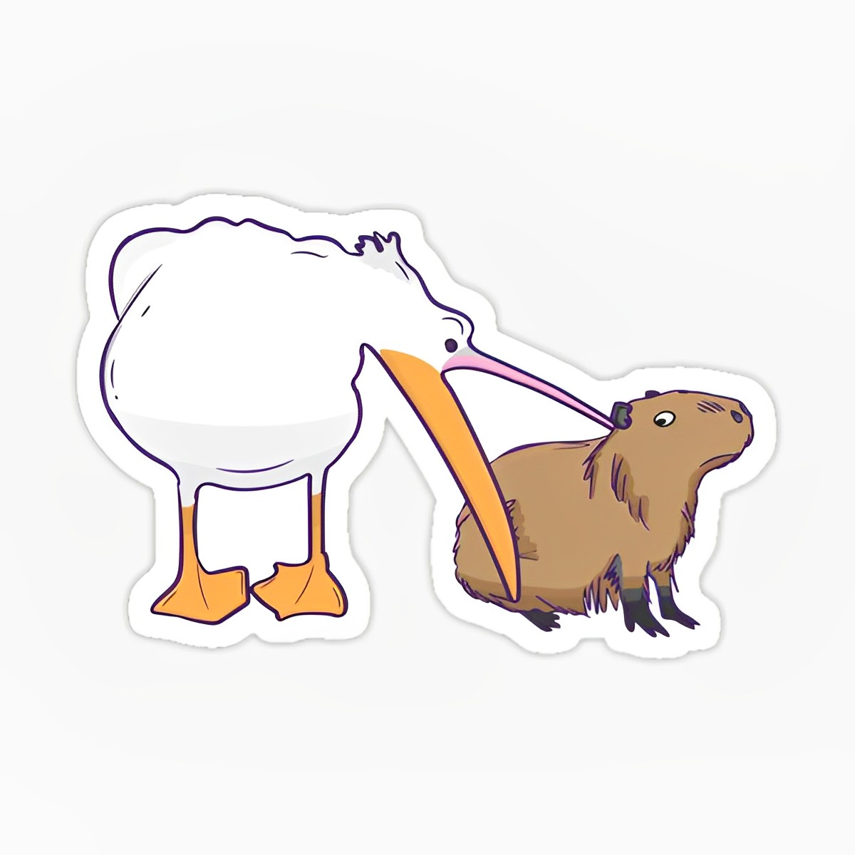 Pelicano come capibara