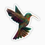 Colibri oro