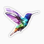 Colibri multicolor