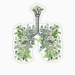 Pulmones naturales