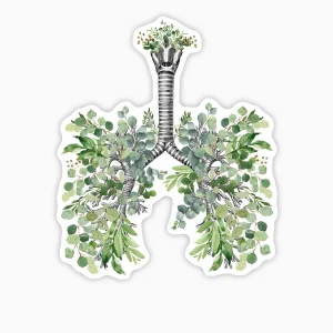 Pulmones naturales