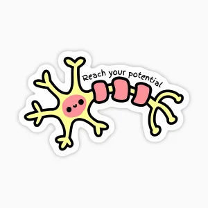 Neurona, usa tu potencial