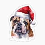 Boxer navideño