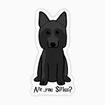 Sirius perro, Are you sirius ?