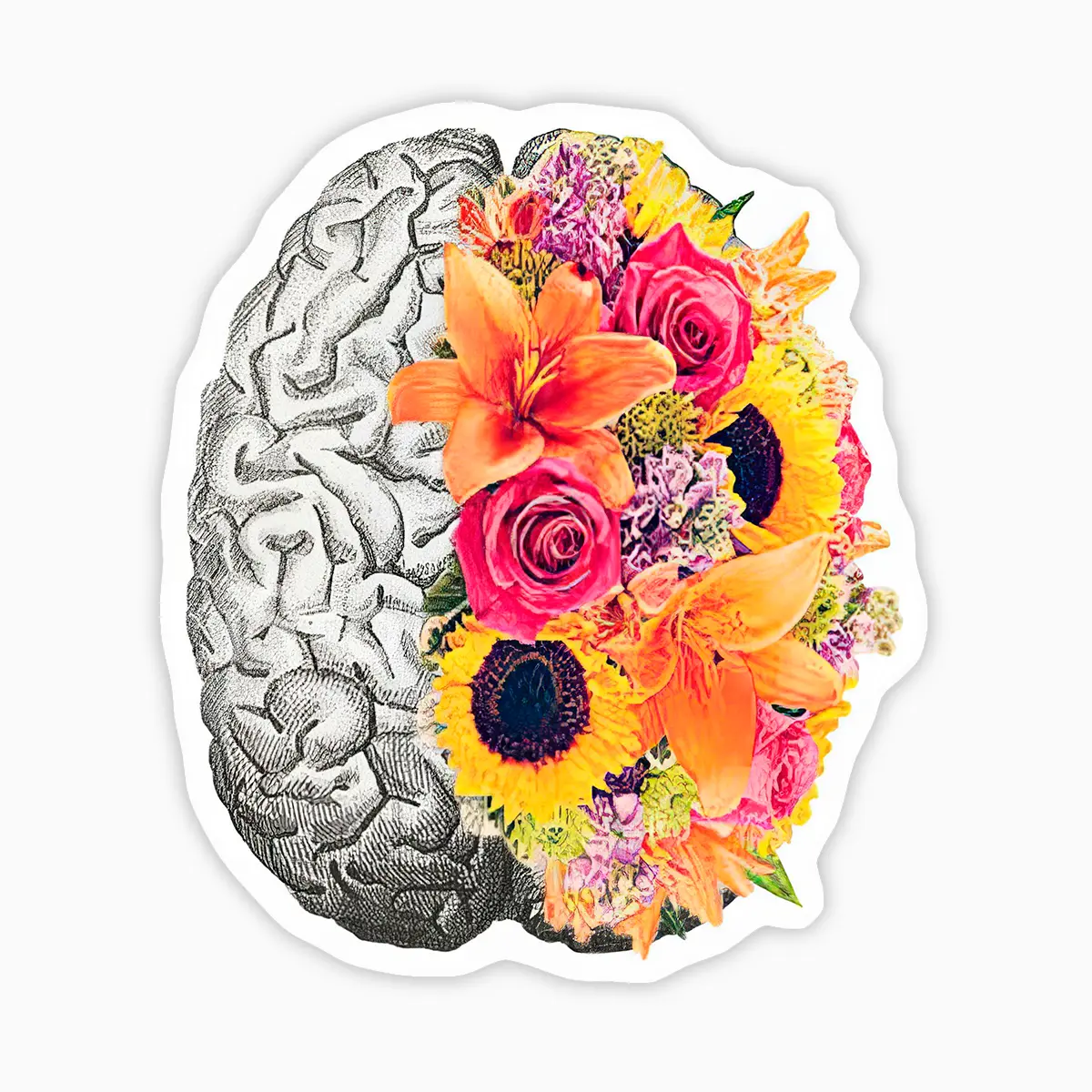 Cerebro floral