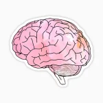 Cerebro acuarela rosa