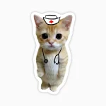 Gato tierno enfermero