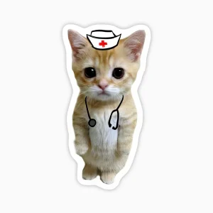 Gato tierno enfermero