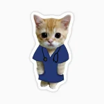 Gato tierno doctor