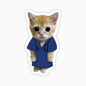 Gato tierno doctor