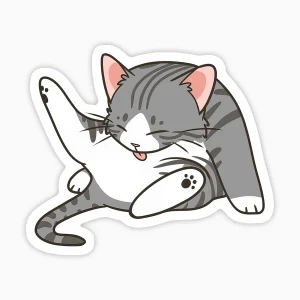 Gato gris lamiendose