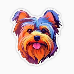 Yorkie multicolor