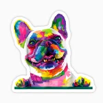 Bulldog frances multicolor