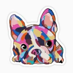 Bull dog frances multicolor 2