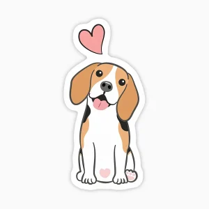 Beagle amor