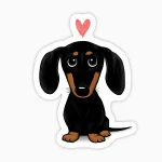 Pinscher corazon