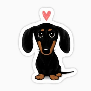 Pinscher corazon