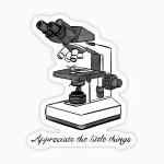 Microscopio - aprecia las cosas pequeñas