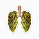 Hierba en tus pulmones