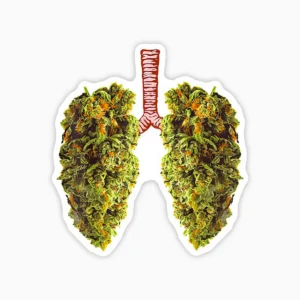 Hierba en tus pulmones