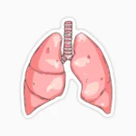 Pulmones saludables