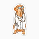 Dogtor , perro doctor