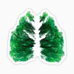 Pulmones verdes