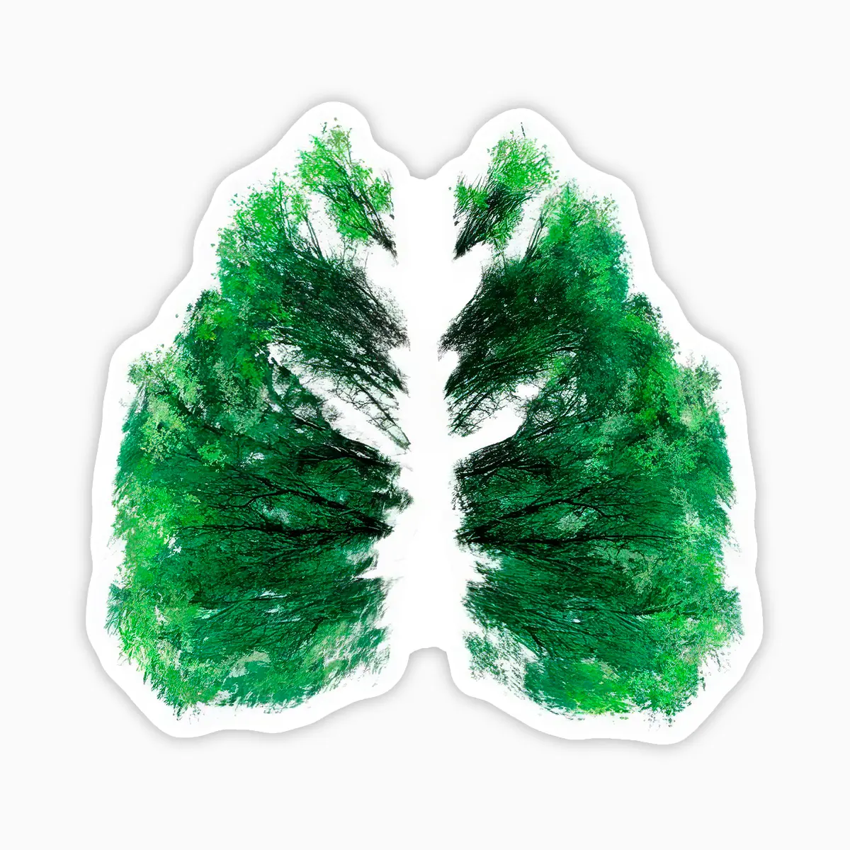Pulmones verdes