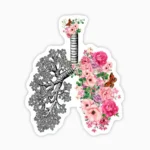 Pulmones jardin